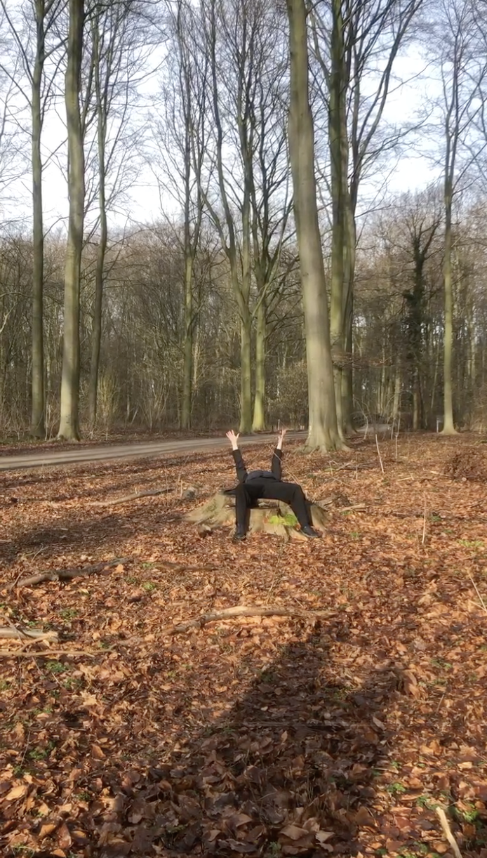 storytelling in the forest 